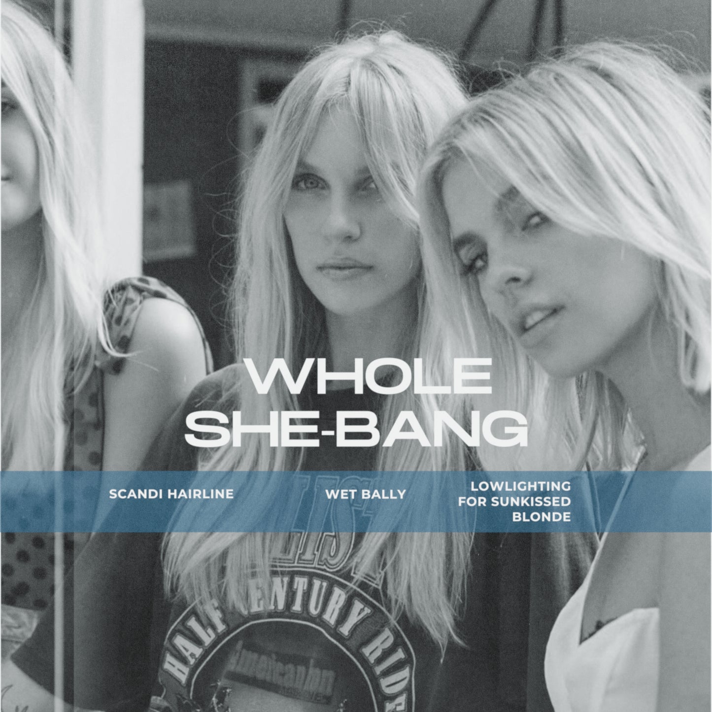 The Whole Shebang
